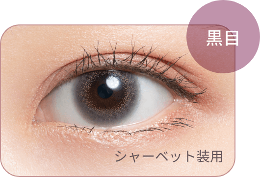 黒目 シャーベット装用