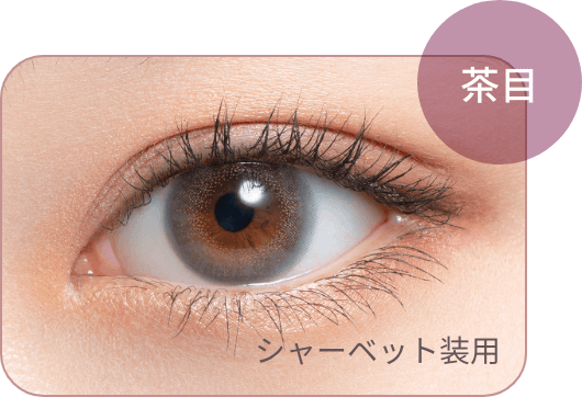 茶目 シャーベット装用